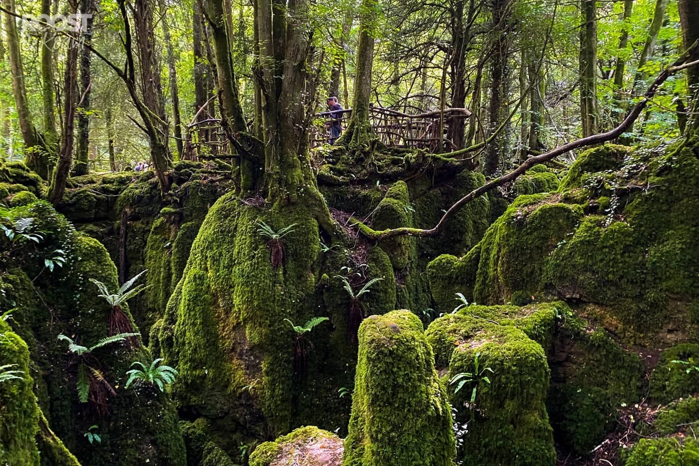 Puzzlewood